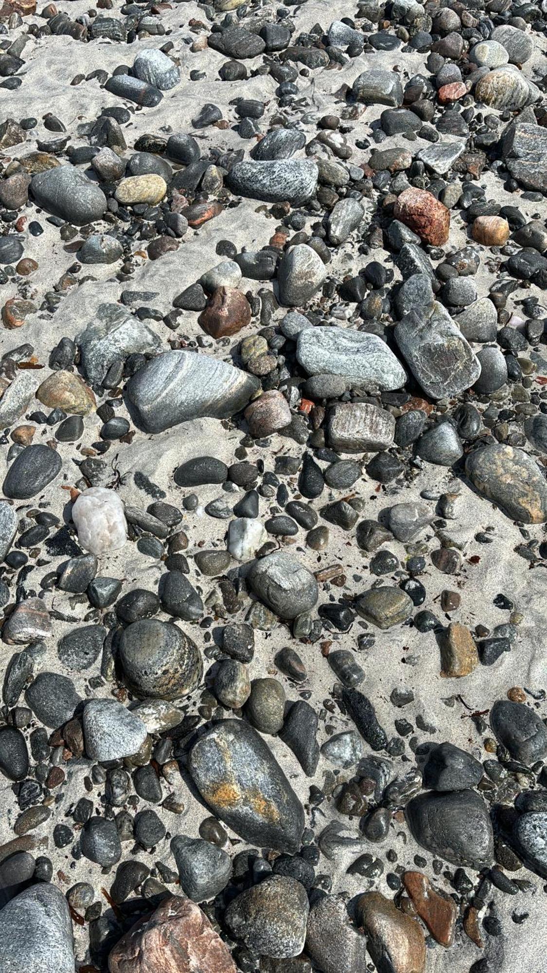 Seas The Day - Self Catering Lodge North Uist Paible Eksteriør bilde