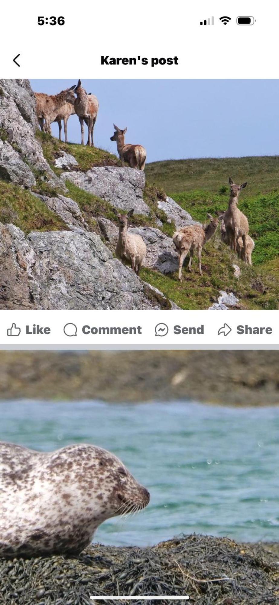 Seas The Day - Self Catering Lodge North Uist Paible Eksteriør bilde